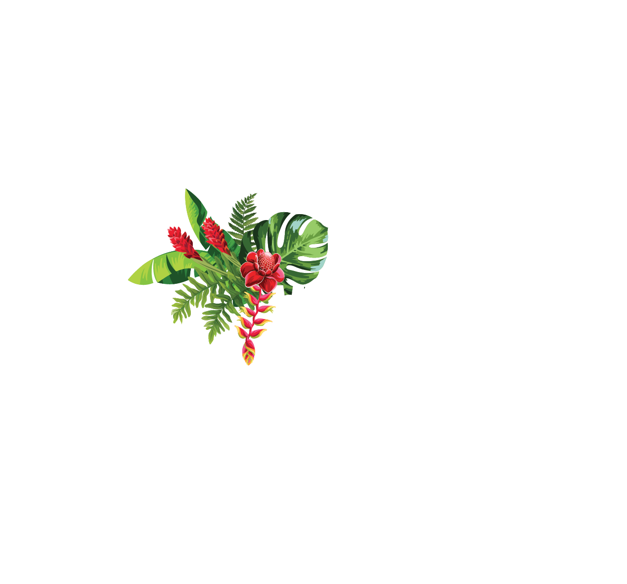 Welcome to Maire Nui Gardens & Cafe